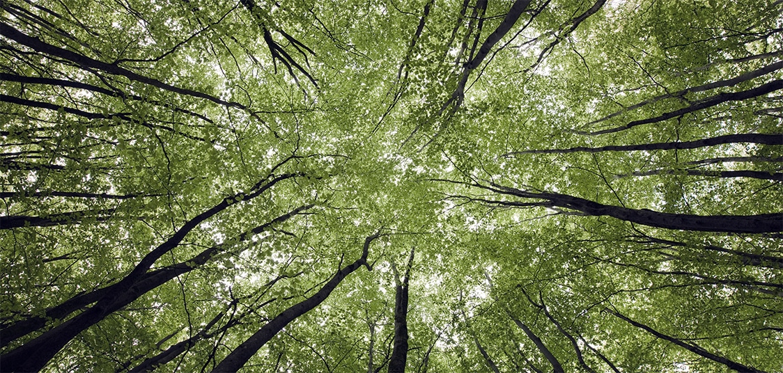 Nordea Henkivakuutuksen vuoden 2025 kiinteistösijoitusten vastuullisuuskatsaus